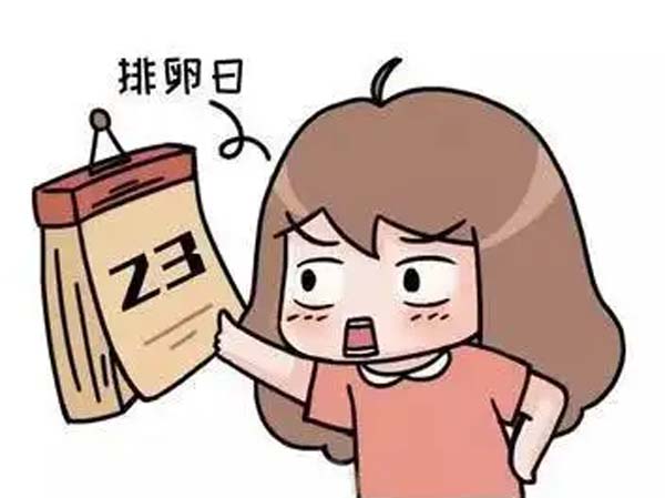 排卵期“中獎”怎么這么難？