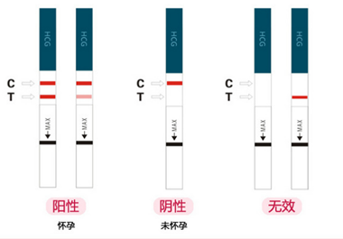 假陽性和真陽性的圖片,為什么會假陽性?