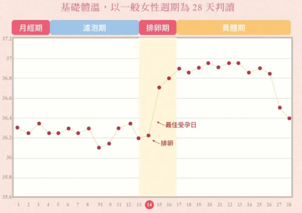 排卵試紙完整一個月圖解