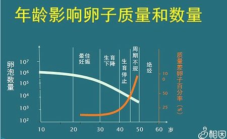 促排卵的中藥吃了有沒有副作用，打完促排卵針的副作用是會頭暈惡心嗎？