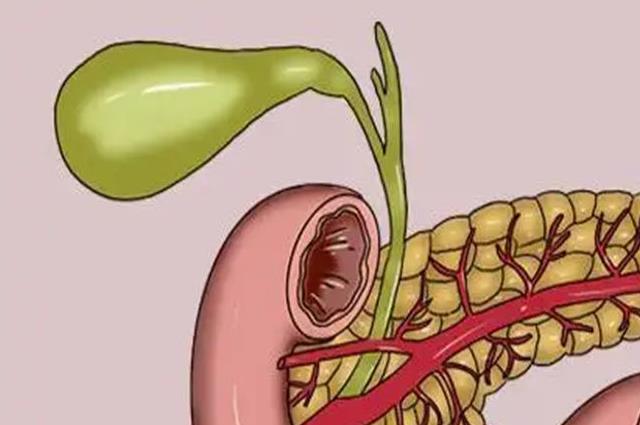 胰腺炎恢復期能吃什么水果？七種水果助你減輕胰腺負擔